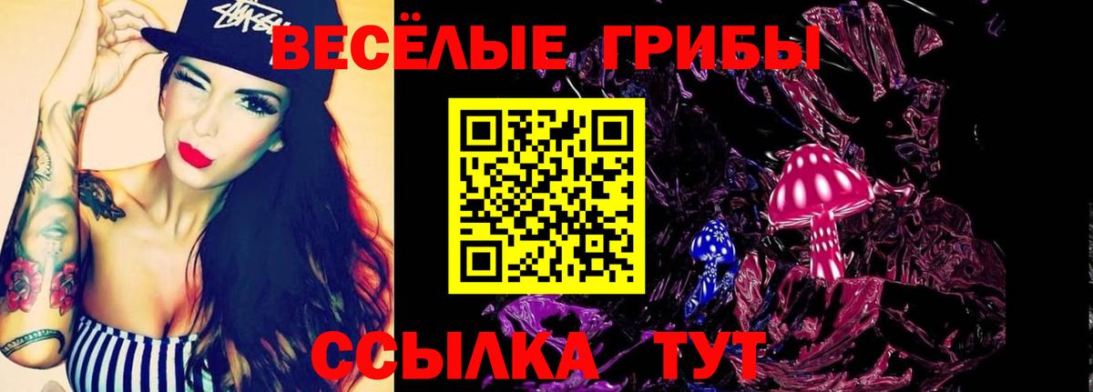Псков  Псилоцибиновые грибы Psilocybe  Вход с VPN  Псилоцибиновые грибы Cubensis 